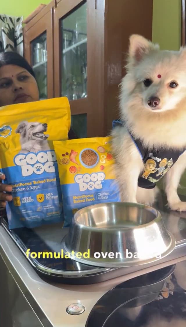 Good Dog India