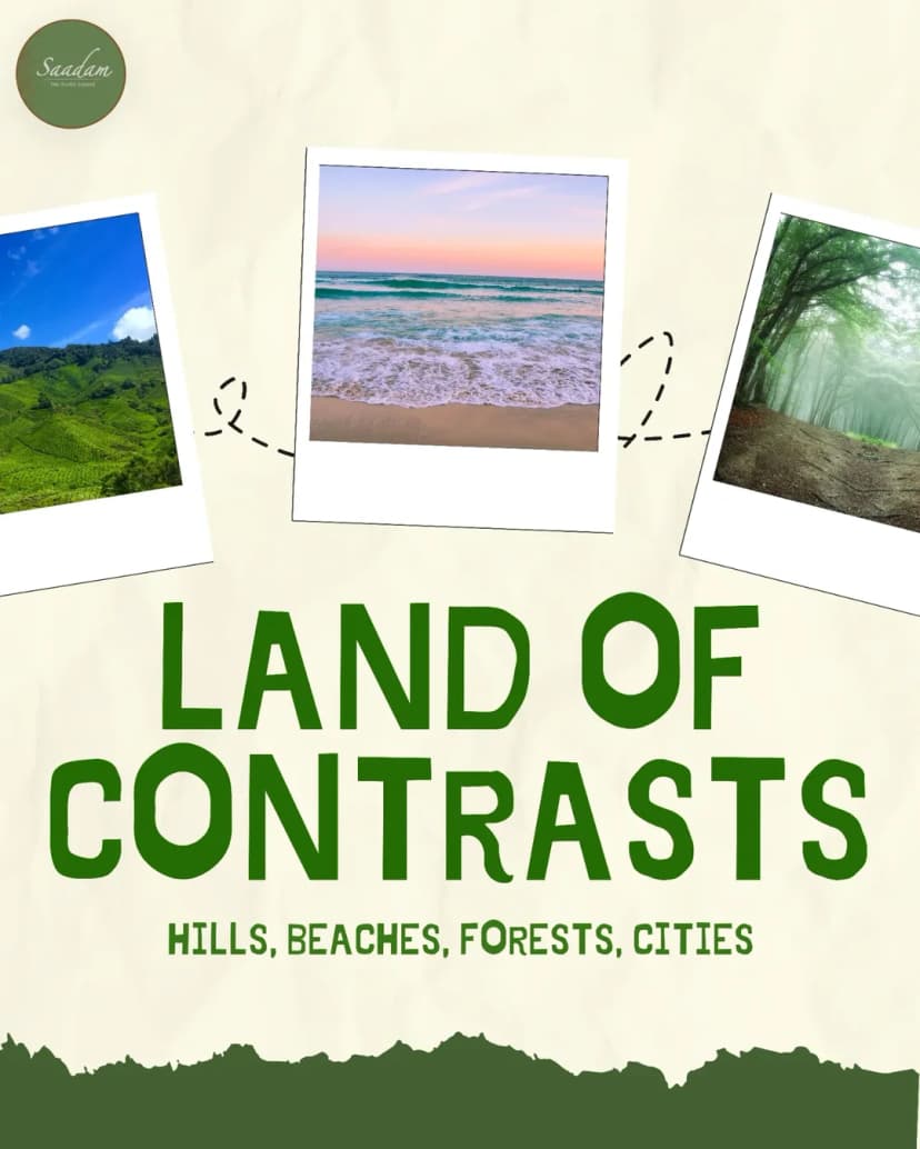 image slide 5